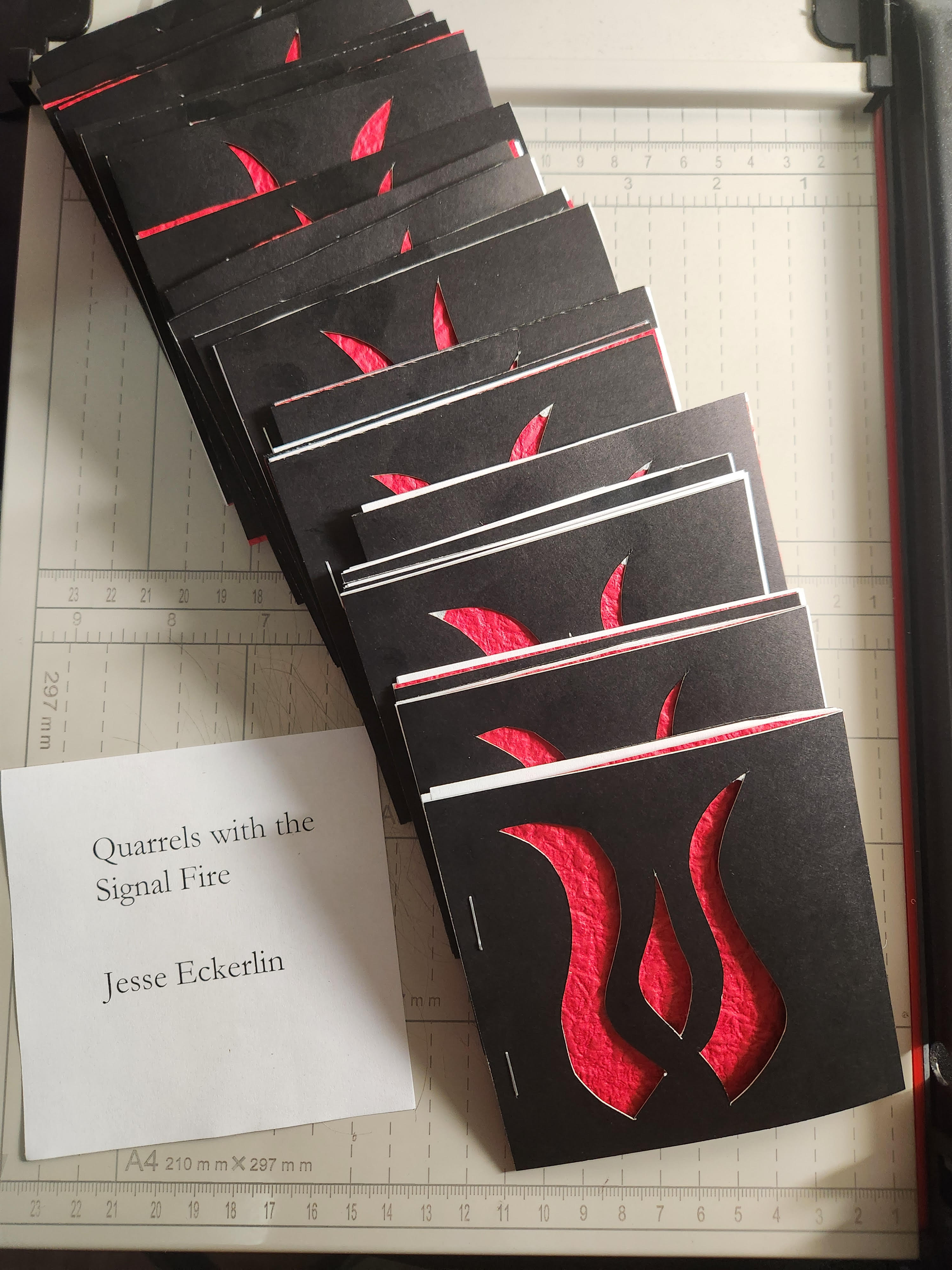 Quarrels with the signal fire - Jesse Eckerlin